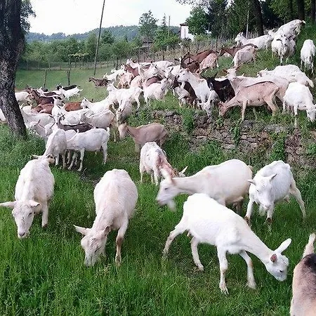 Agriturismo San Lorenzo Ponzone